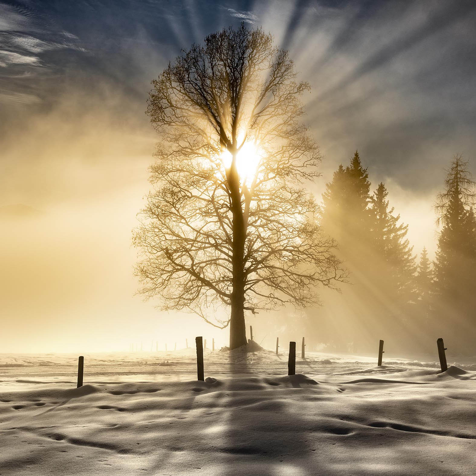 arthurlosfotografie-alpen_winterbeelden